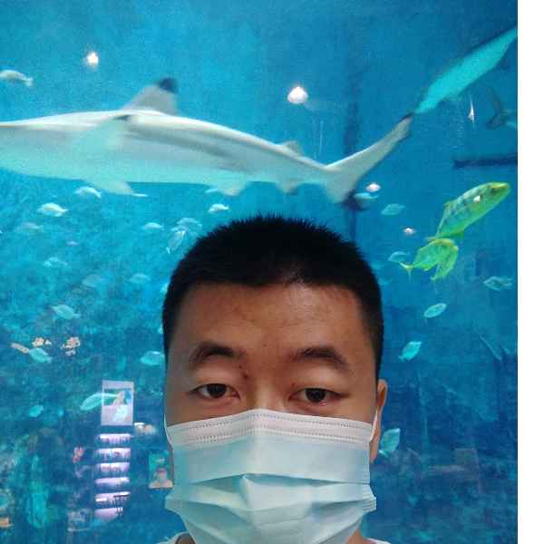 河北34岁单身帅哥真诚找对象-晋中征婚相亲网