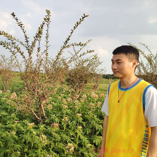 37岁岁广东单身帅哥 - 晋中吉缘网